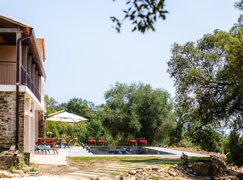 Grande Villa 750 M2 Le Mas Des Chenes Bormes-les-Mimosas Exteriér fotografie