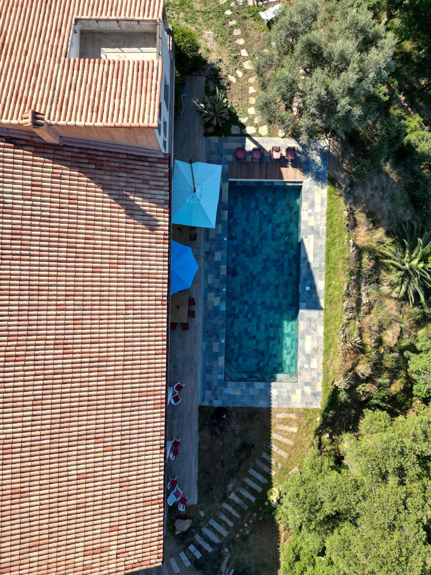 Grande Villa 750 M2 Le Mas Des Chenes Bormes-les-Mimosas Exteriér fotografie