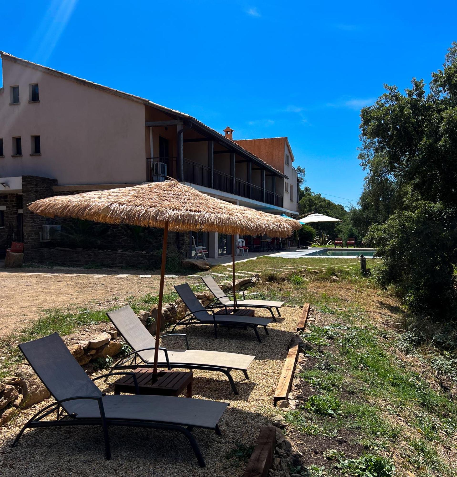 Grande Villa 750 M2 Le Mas Des Chenes Bormes-les-Mimosas Exteriér fotografie